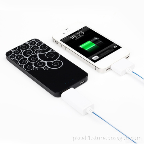 Fashionable Portable Power Bank with 4000mAh for iPhone, iPad and Music Player